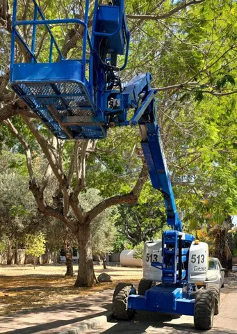 במות זרוע מפרקית
