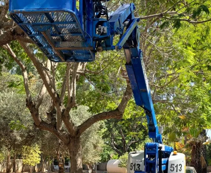 Genie Z-51 - במת זרוע מפרקית של אופק במות הרמה